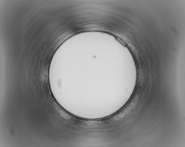 X0000111450897200908241203
