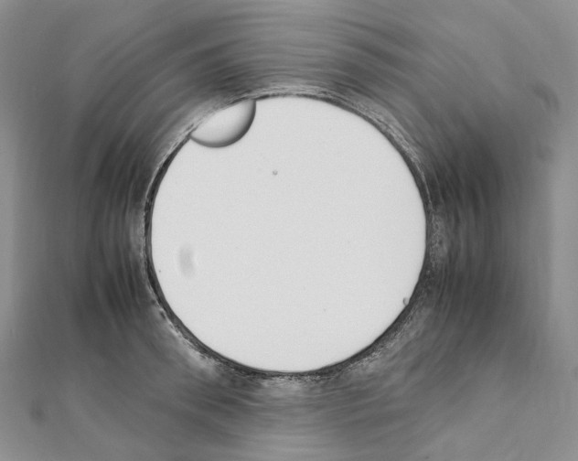 X0000111450898200908241203