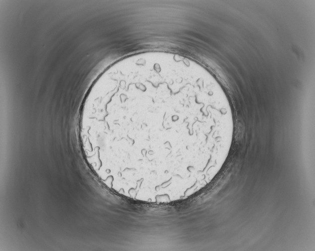 X0000111450899200908241203