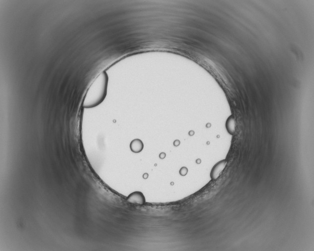 X0000111450900200908241203
