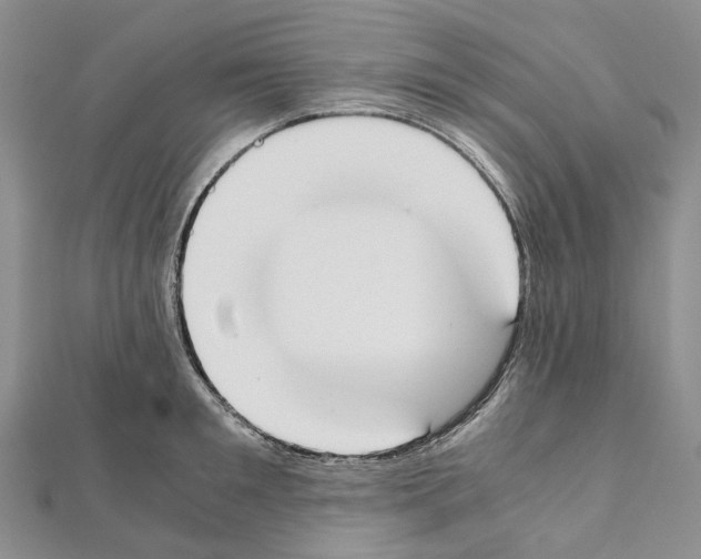 X0000111450901200908241203