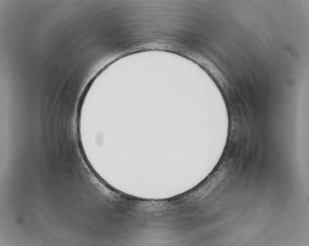 X0000111450902200908241203