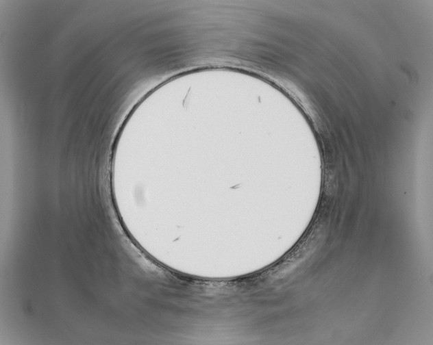 X0000111450903200908241203