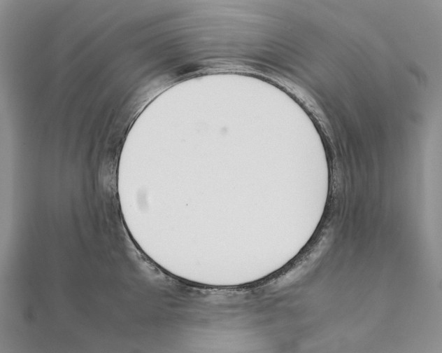 X0000111450905200908241203