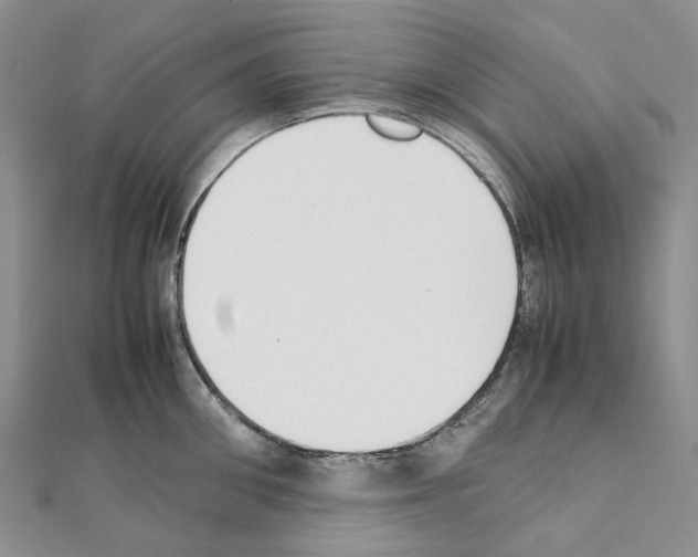 X0000111450906200908241203