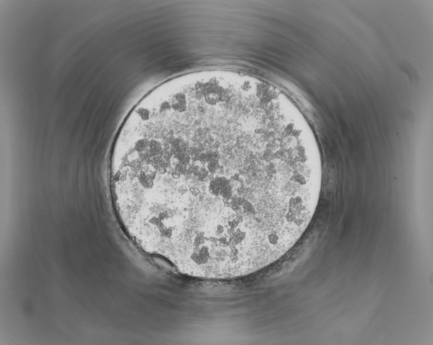 X0000111450907200908241203