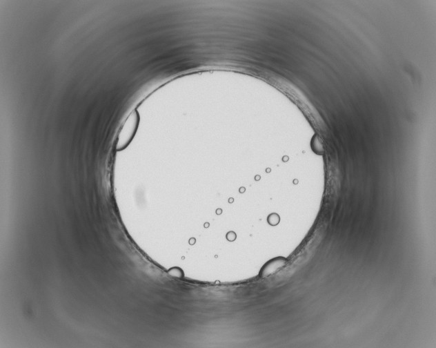 X0000111450908200908241203