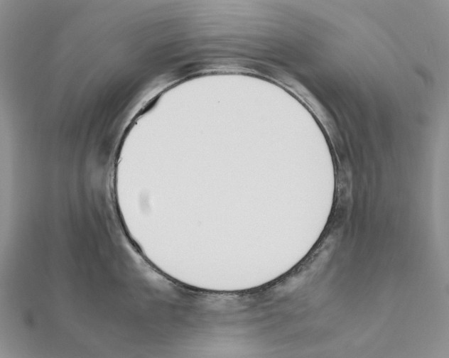X0000111450909200908241203