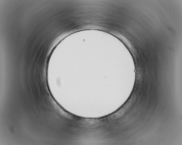 X0000111450910200908241203