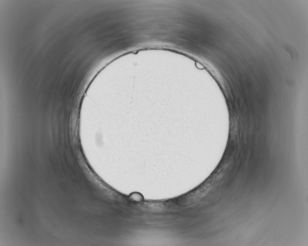 X0000111450911200908241203