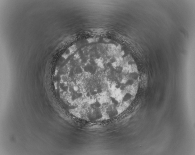 X0000111450913200908241202