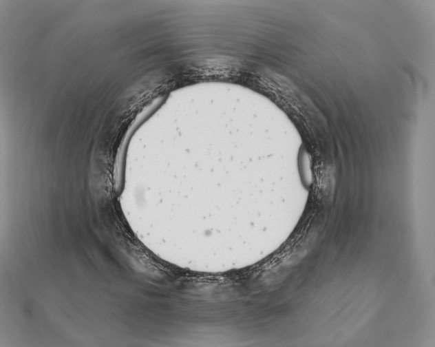 X0000111450916200908241202