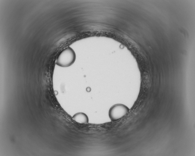 X0000111450918200908241202