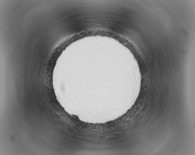X0000111450919200908241202