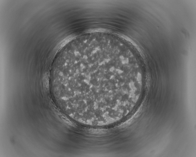 X0000111450921200908241202