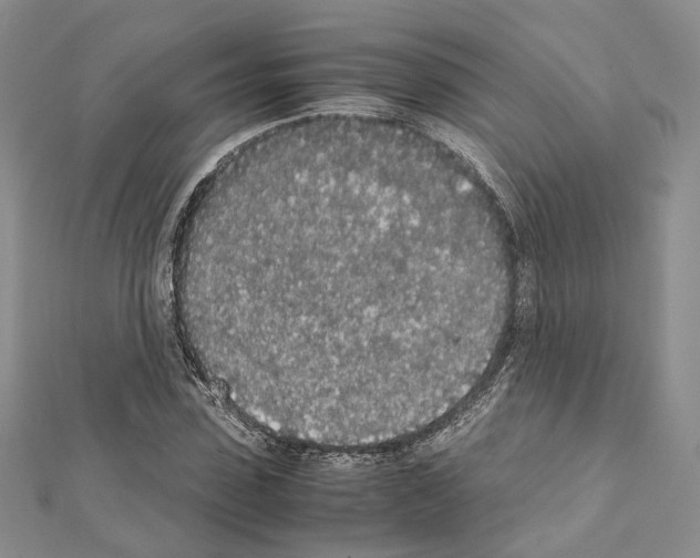 X0000111450923200908241202