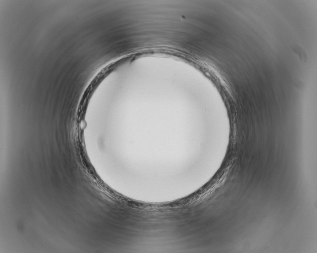 X0000111450924200908241202