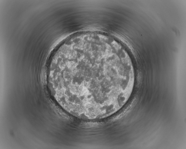 X0000111450925200908241202