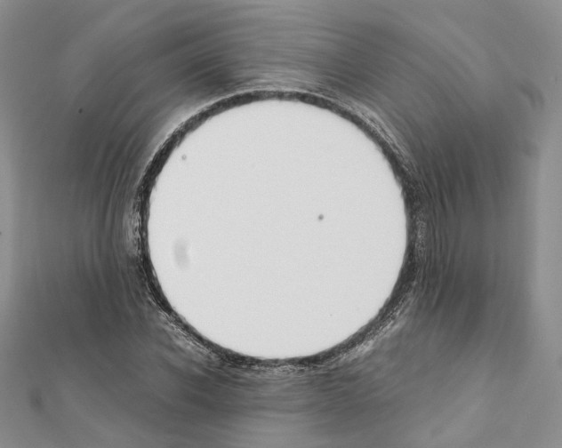 X0000111450926200908241202
