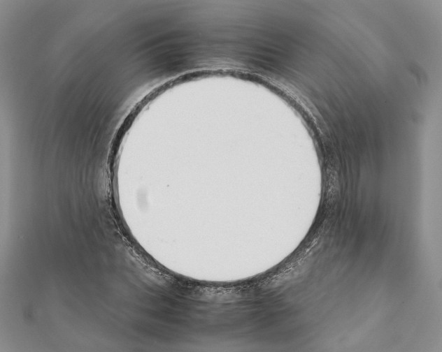 X0000111450927200908241202