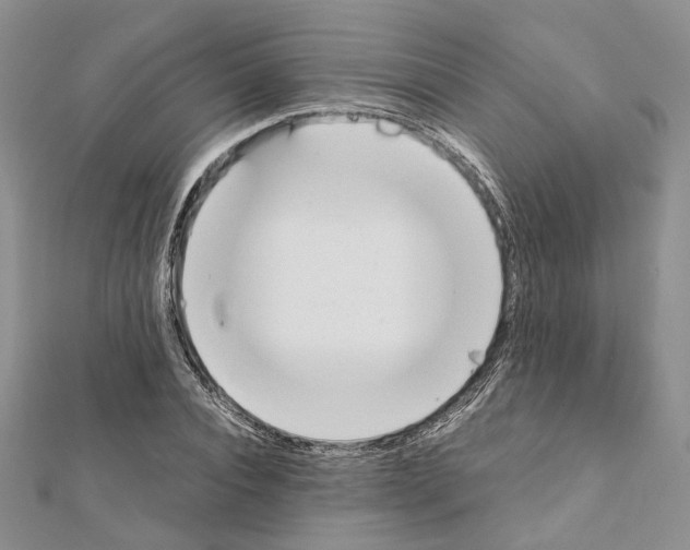 X0000111450928200908241202