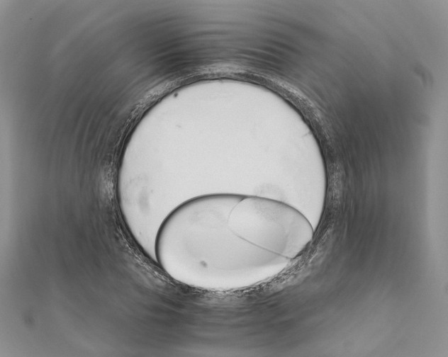X0000111450929200908241202