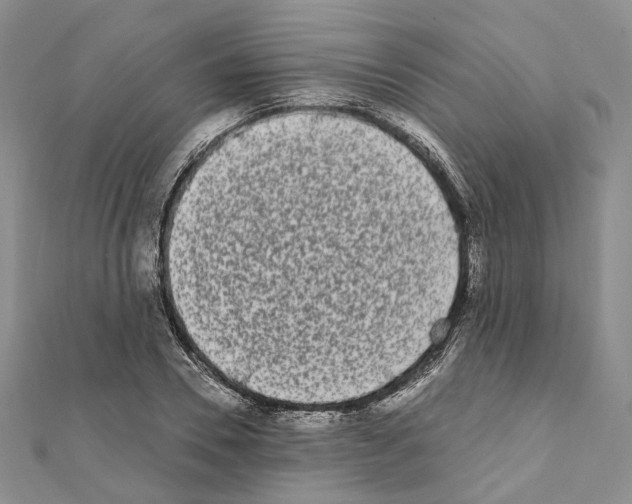 X0000111450930200908241202