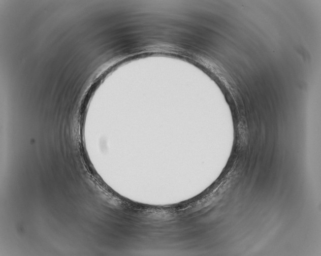 X0000111450931200908241202