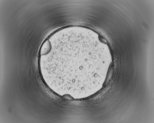 X0000111450932200908241202