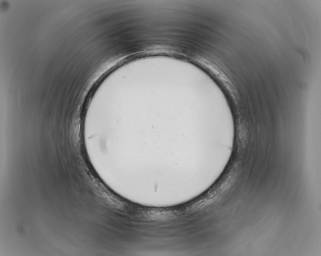 X0000111450933200908241202