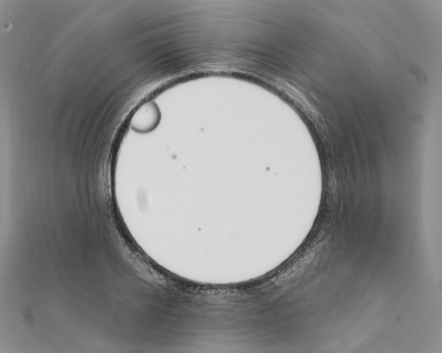 X0000111450934200908241202