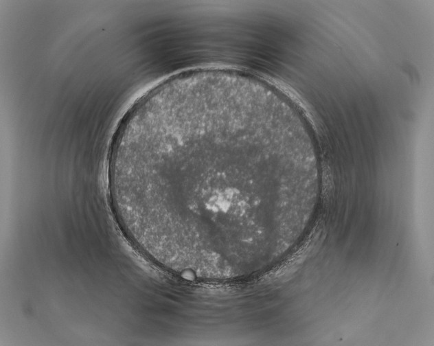 X0000111450935200908241202