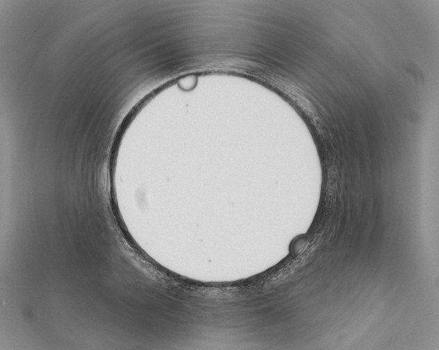 X0000111450936200908241202