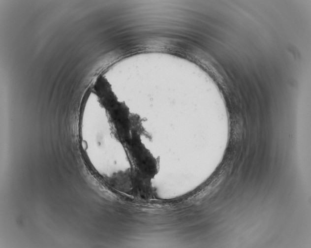 X0000111450938200908241202