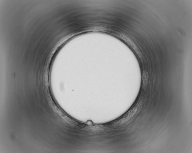 X0000111450939200908241202