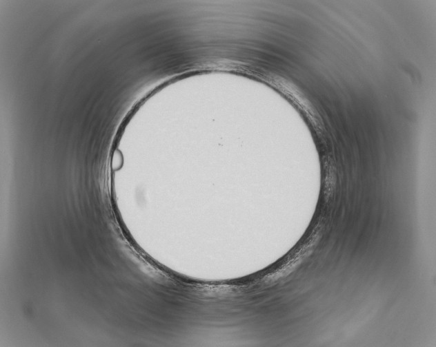 X0000111450940200908241202