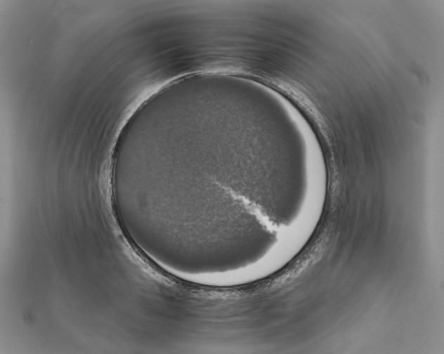 X0000111450941200908241202