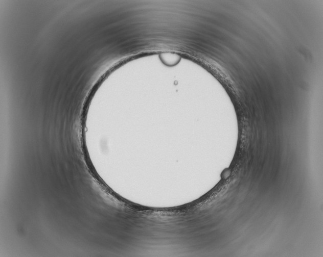 X0000111450942200908241202