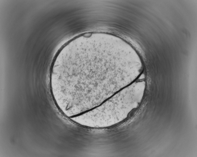 X0000111450944200908241202