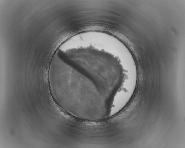 X0000111450945200908241203