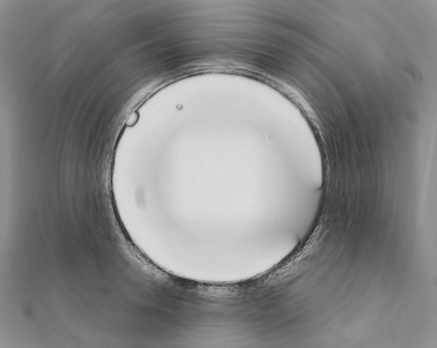 X0000111450946200908241203