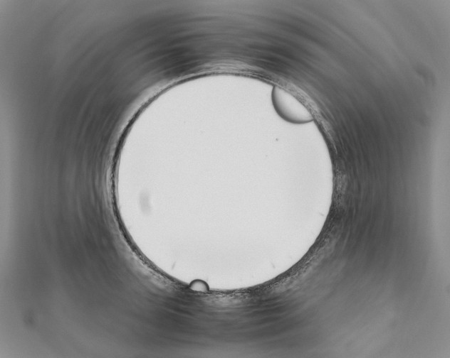 X0000111450947200908241203
