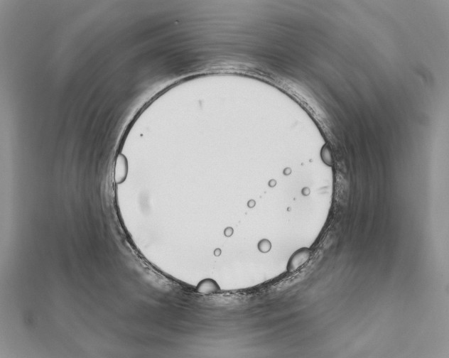 X0000111450948200908241203