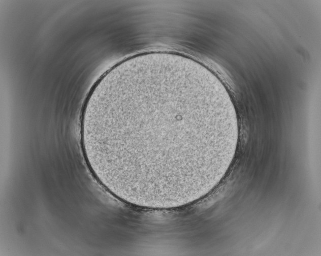 X0000111450950200908241203