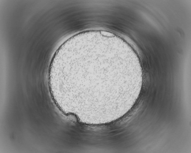 X0000111450951200908241203