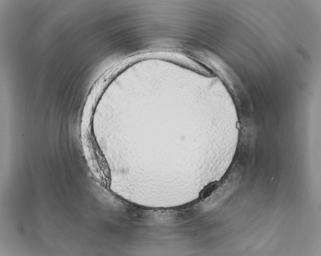 X0000111450952200908241203