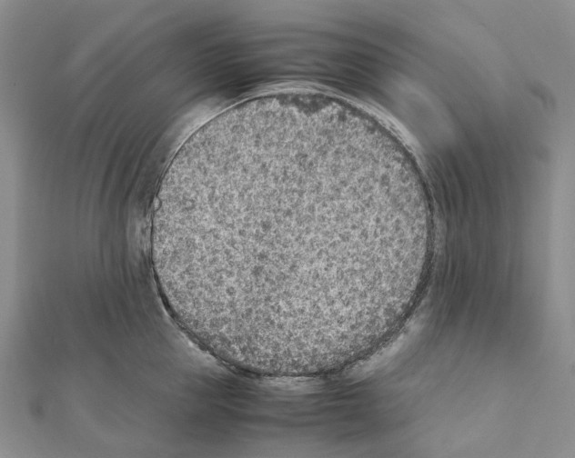 X0000111450953200908241203