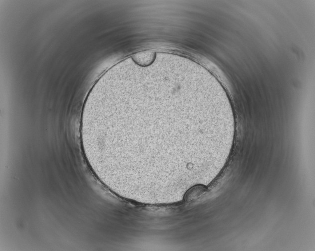 X0000111450954200908241203
