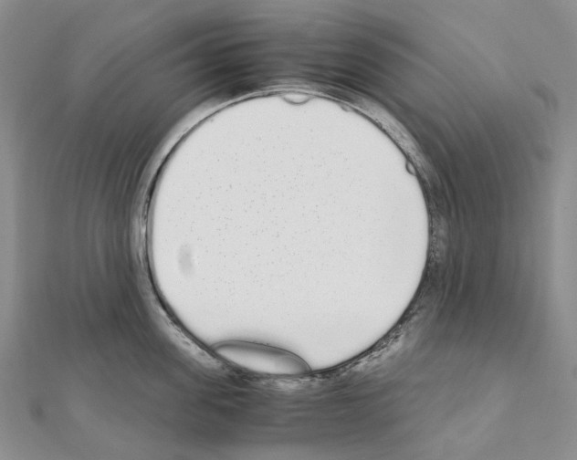 X0000111450955200908241203
