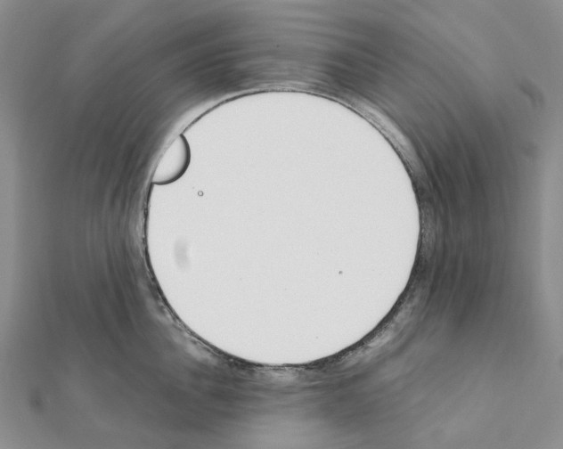 X0000111450956200908241203